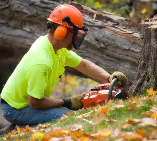 tree services Tutwiler